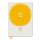 Vitra Buch Alexander Girard A Designer’s Universe
