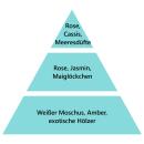 Maison Berger Geschenkset Essentielle Quadratisch Erfrischende Ozeanbrise