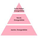 Maison Berger Bouquet Cube Transparent Aromatische Orangenblüte 125 ml