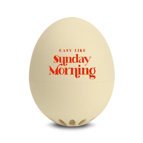 Brainstream Guten Morgen PiepEi