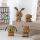 Hoptimist Bunny S Oak