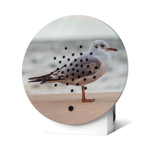 Relaxound Oceanbox Happy Birds Baltic Seagull Limitiert