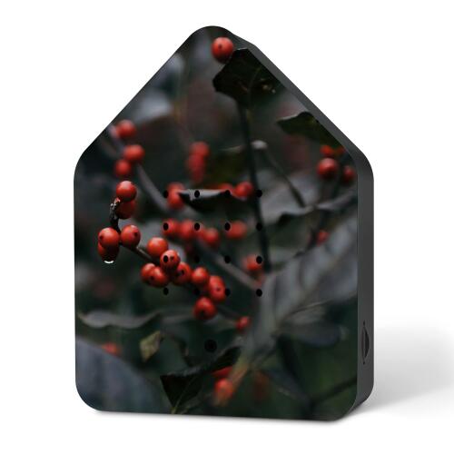 Relaxound Zwitscherbox Celebrate Winter Merry Berries Limitiert