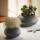Philippi Holm Vase L
