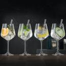 Nachtmann Tastes Good Gin & Tonic-Glas mit Glastrinkhalm 4er Set