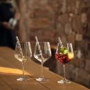 Nachtmann Tastes Good Gin & Tonic-Glas mit Glastrinkhalm 4er Set