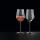 Nachtmann Aperitivo Universalglas 490 ml 2er Set