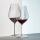 Riedel Performance Pinot Noir Kauf 4 Zahl 3