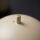 Hoptimist Speaker L Soft White