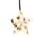 Philippi Aqua Weihnachtsanhänger Stern Gold Groß