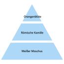 Maison Berger Pudriger Moschus 1 Liter