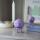 Hoptimist Bumble M Lavendel