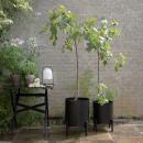 Eva Solo Simply Grow Übertopf Groß