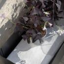 Eva Solo Simply Grow Pflanzenbox