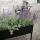 Eva Solo Simply Grow Pflanzenbox
