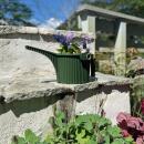 Hachiman Garden Beetle Gießkanne Dunkelgrün 1500 ml