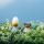 Lucie Kaas Bordfolk Girl Daisy
