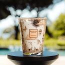 Baobab Duftkerze Max 16 Tomorrowland 2025