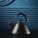 Alessi Wasserkessel 9093 BB Vollschwarz