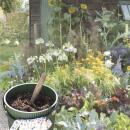 Hachiman Garden Tool Bucket 8 l (Deckel in anderer Farbe)