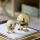 Hoptimist Bumble S & XS Gold 2er Set