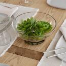Blomus Vase Miyabi M Glas