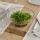 Blomus Vase Miyabi M Glas
