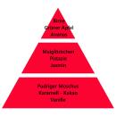 Maison Berger Köstliche Früchte 500 ml