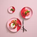 ASA Joy Essteller Strawberry Smoothie 26,5 cm