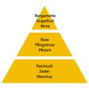 Maison Berger Geschenkset Disco Rosa