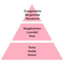 Maison Berger Geschenkset Ophelia Rosé