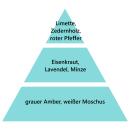 Maison Berger Geschenkset Ice Cube Pfirsich-Grün