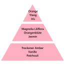 Maison Berger Triopack Ophelia