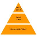 Maison Berger Keramik-Nachfüller zu portablem E-Diffuser Prickelnde Zitronenblüte