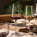 Zwiesel Glas Vivid Senses Leicht & Frisch 2er Set