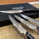 Ryoma Damast-Steakmesser mit Ebenholzgriff 4er Set (Retourware)