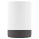 Blomus Akku-LED-Leuchte Calma L Granite Gray