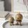 Hoptimist Bumble S & XS Eiche 2er Set