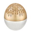 Maison Berger Duftlampe Luka Gefrostet