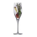 Eisch Superior SensisPlus 500/71 Champagner 2er Geschenkkarton