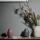 Blomus Colora Vase L Agave Green