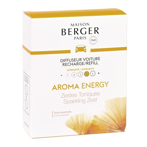 MAISON BERGER PARIS Diffuser Autoduft Diffuser ohne Duftkeramik