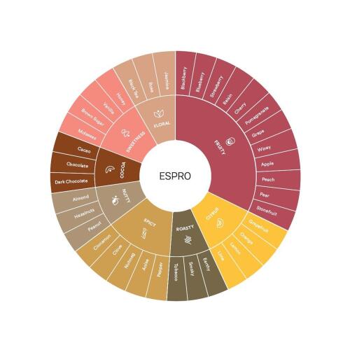 Espro Verkostungstasse für Kaffee Cocoa