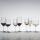 Riedel Vinum Viognier Chardonnay Kauf 4 Zahl 3