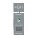 Maison Berger Bouquet Citronella Prickelndes Zitronengras