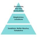 Maison Berger Bouquet Cube Frische der Aloe Vera