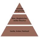 Maison Berger Night and Day Diffuser Nachfüller Aroma Dream