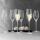 Spiegelau Topline Champagnerkelch 6er Set