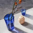 Iittala Birds by Toikka Crake Osterei