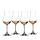 Riedel Rum Set 4-teilig